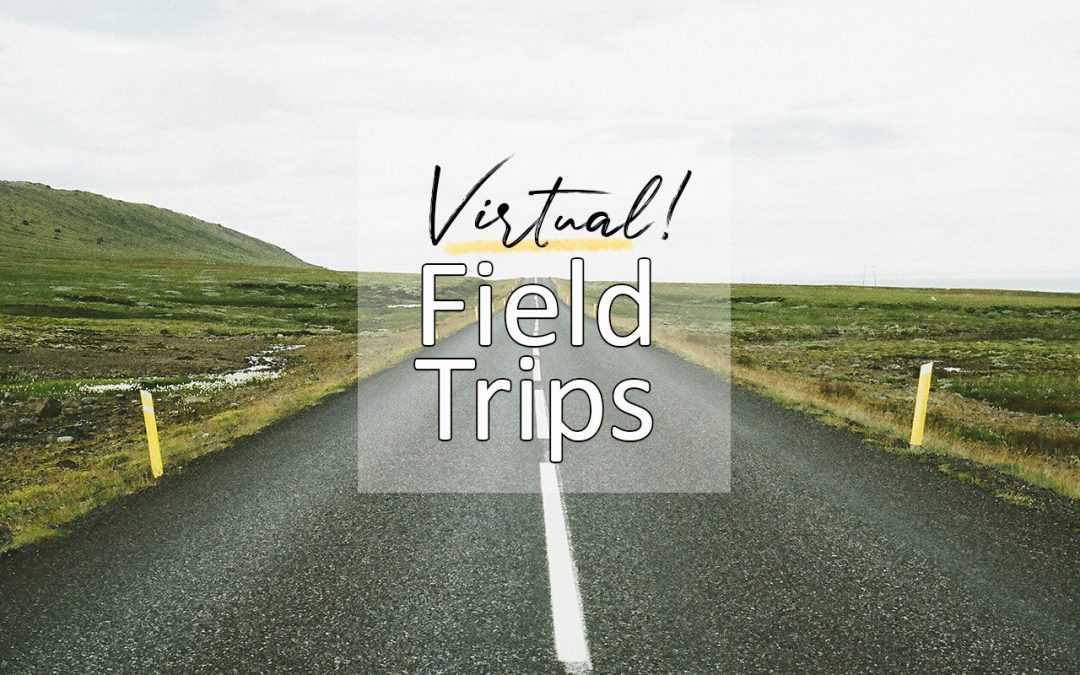 Virtuele excursies