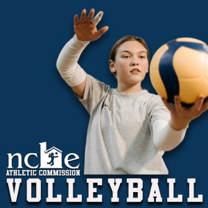 Ig-Volleyball-1